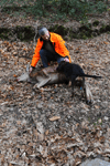 dsc_0018.jpg