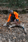 dsc_0019.jpg