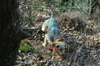 dsc_0016.jpg
