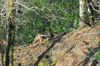 dsc_0017.jpg