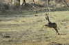 dsc_0012.jpg