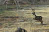dsc_0013.jpg
