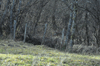 dsc_0015.jpg