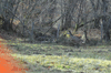 dsc_0016.jpg