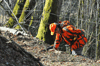 dsc_0017.jpg