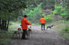 dsc_0003.jpg