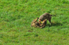 dsc_0003.jpg