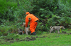 dsc_0007.jpg