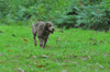 dsc_0009.jpg
