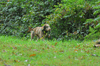 dsc_0011.jpg