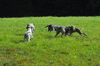 dsc_0001.jpg
