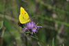 dsc_0014.jpg