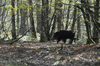 dsc_0005.jpg