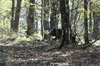 dsc_0007.jpg