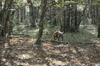 dsc_0012.jpg