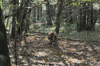 dsc_0013.jpg