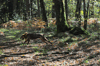 dsc_0015.jpg