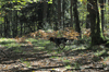 dsc_0016.jpg