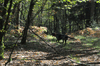 dsc_0017.jpg
