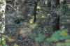 dsc_0005.jpg