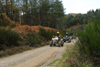 dsc_0003.jpg
