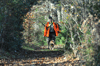 dsc_0005.jpg
