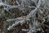 dsc_0005.jpg