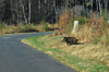 dsc_0006.jpg