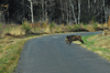 dsc_0007.jpg