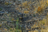 dsc_0011.jpg