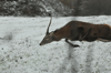 dsc_0010.jpg