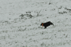 dsc_0016.jpg