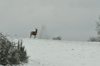dsc_0018.jpg