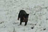 dsc_0020.jpg