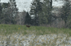 dsc_0021.jpg