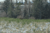 dsc_0022.jpg