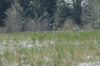 dsc_0023.jpg