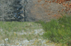 dsc_0024.jpg