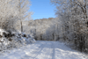 dsc_0001.jpg