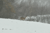 dsc_0016.jpg