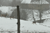 dsc_0018.jpg