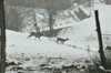dsc_0019.jpg