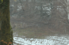 dsc_0020.jpg