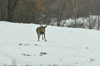 dsc_0023.jpg