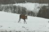 dsc_0025.jpg