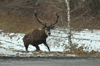 dsc_0027.jpg