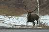 dsc_0028.jpg
