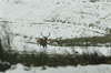 dsc_0030.jpg