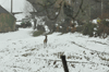 dsc_0031.jpg