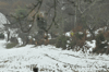 dsc_0032.jpg